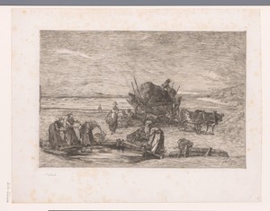 Mensen verzamelen zeewier aan de duinkust