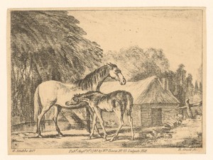 Merrie met veulen bij een schuur