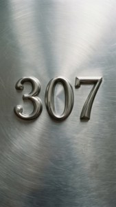 Metallic 307 Minimalist