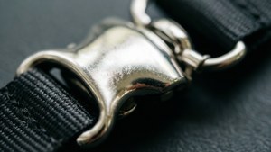 Metallic Clip Detail