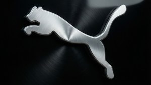 Metallic Puma Logo