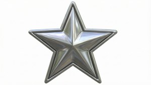 Metallic Silver Star