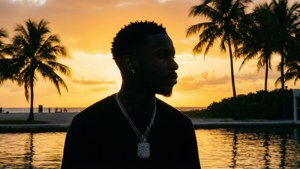 Miami Sunset Silhouette