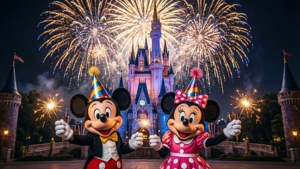 Mickey and Minnie Fireworks