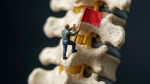 Micro Adventure on Spine