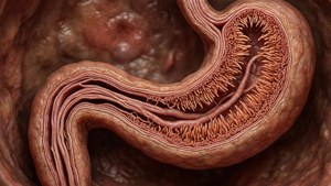 Micro Digestive Texture