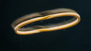 Mid-Snap Rubber Band