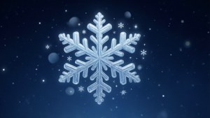 Midnight Snowflake Emoji