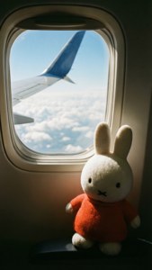 Miffy Takes Flight