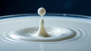 Milk Droplet Ripple