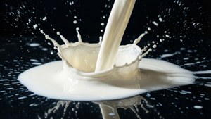 Milk Pool on Dark