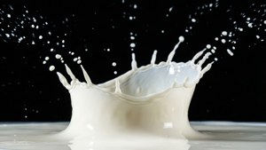 Milk Splash Drama