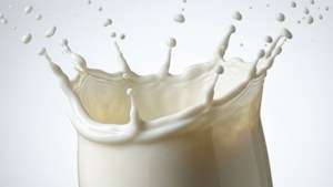 Milk Splash Freeze
