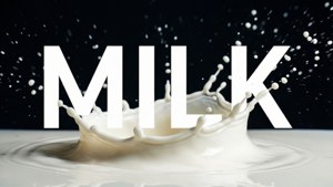 Milk Typography Splash