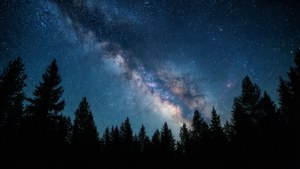 Milky Way Forest