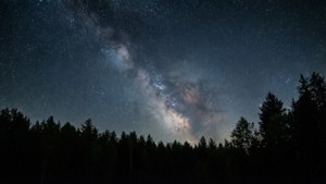 Milky Way Forest Silhouette