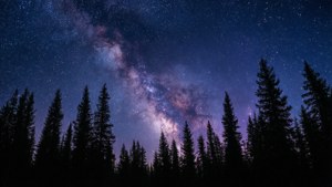 Milky Way Over Forest