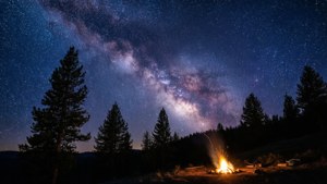 Milky Way Over Pines