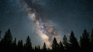Milky Way Over Pines