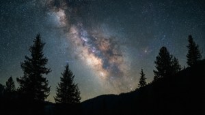 Milky Way Over Pines