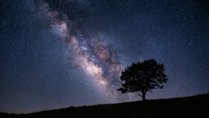 Milky Way Over Tree