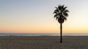 Minimal Beach Sunset
