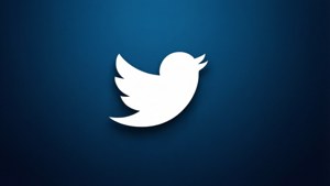 Minimal Blue Bird