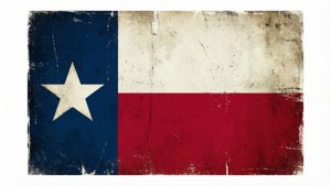 Minimal Distressed Flag