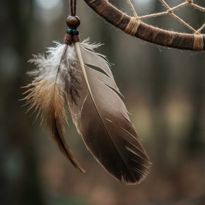 Minimal Feather Dream Catcher