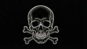 Minimal Line Skull