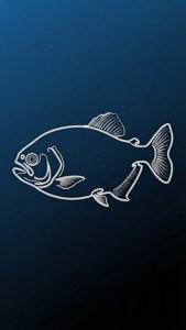 Minimal Piranha
