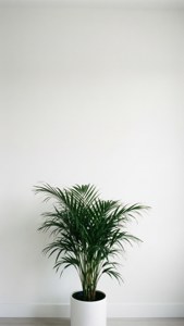Minimal Plant Corner