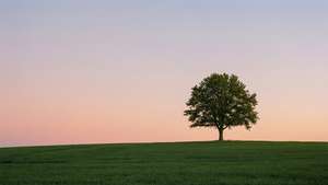 Minimal Sunset Hill
