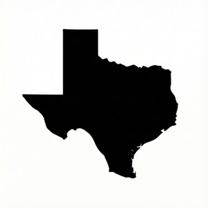 Minimal Texas Black Silhouette
