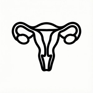 Minimal Uterus Line Art