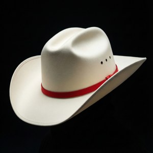 Minimal White Cowboy Hat