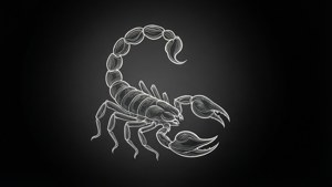 Minimal White Scorpio