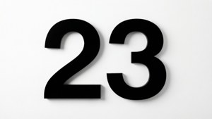 Minimalist 23 White