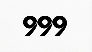 Minimalist 999 Logo