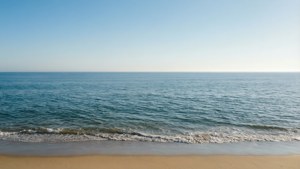 Minimalist Beach Horizon