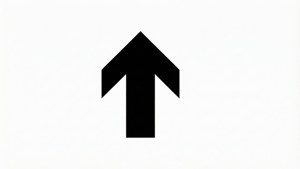Minimalist Black Arrow