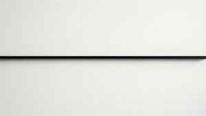 Minimalist Black Line Divider