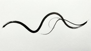 Minimalist Black Squiggle