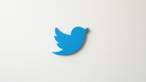 Minimalist Blue Bird Silhouette