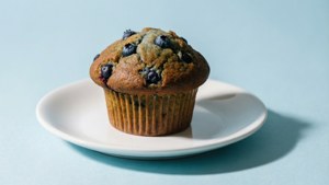 Minimalist Blueberry Muffin