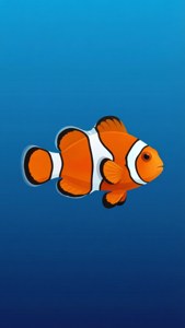 Minimalist Clownfish Icon