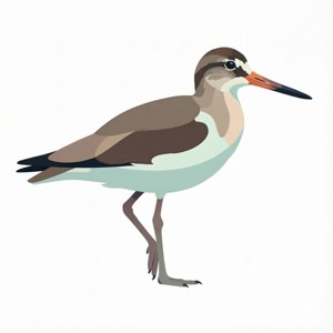 Minimalist Curlew