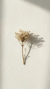 Minimalist Dried Flower