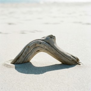 Minimalist Driftwood Curve