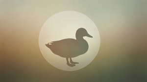 Minimalist Duck Silhouette